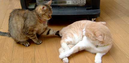 ���������`�`�I�I