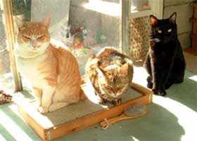 ����`����`�I�I